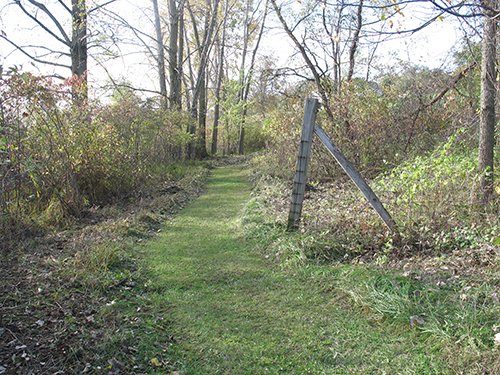 Property photo 98 - REAL ESTATE AUCTION, 163+/- Acres offered in 8 Tracts